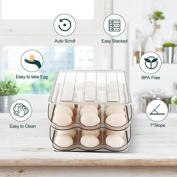 Egg Tray 2 Layer