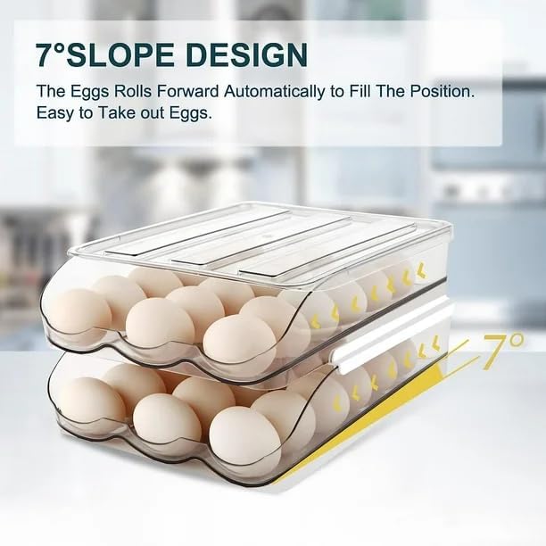 Egg Tray 2 Layer